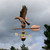 Eagle Weathervane