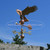 Copper Eagle Weathervane