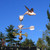 Copper Hummingbird Weathervane