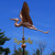 Copper Large Heron Weathervane