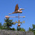 Copper Flying Heron Weathervane with Arrow