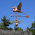 Heron Weather vane with Arrow