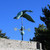 Copper Flying Goose Weathervane