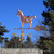 Copper Goat Weathervane