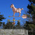 Copper Goat Weathervane