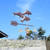 Dolphin Weathervane