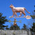 Copper Walking Cat Weathervane