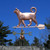 Ringtail Cat Weathervane