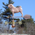 Pug Weathervane