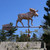 Moose Weathervane