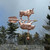 Bull and Bear Weather vane