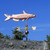 Catfish Weathervane