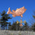 Copper Largemouth Bass Weathervane