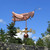 Grasshopper Weathervane