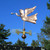 Angel Weathervane
