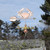 Crab Weathervane