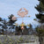 Crab Weather vane