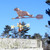 Seal Weather vane