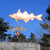 Copper Haddock Weathervane