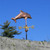 Dolphin Weather vane