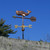 Small Whale Weathervane