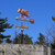 Small Cow Weathervane