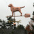 Copper Large Labrador Weathervane