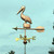 Copper Small Pelican Weathervane