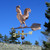 Rooster Weathervane