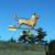 Cardigan Corgi/Dog Weathervane