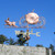 Pig and Pumpkin Carriage Weathervane