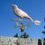 Copper Crow Weathervane