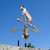 Copper Jumping Cow Weathervane