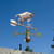 Jumping Cow Weathervane