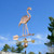 Copper Flamingo Weathervane