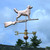 Golden Retriever Weathervane on a Shotgun