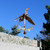 Heron Weather vane