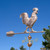 Grand Rooster Weathervane