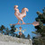 Grand Rooster Weathervane