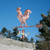 Grand Rooster Weathervane