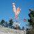 Grand Rooster Weathervane