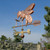 Grand Honey Bee and Flower Weathervane