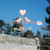 Cardinals with Heart Weathervane