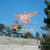 Navy Wings Weathervane