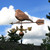 Copper Warbler Weathervane