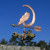 Barn Owl and Moon Weathervane