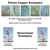 Schooner Weathervane Patina Examples