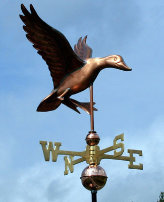 Duck Weather vane