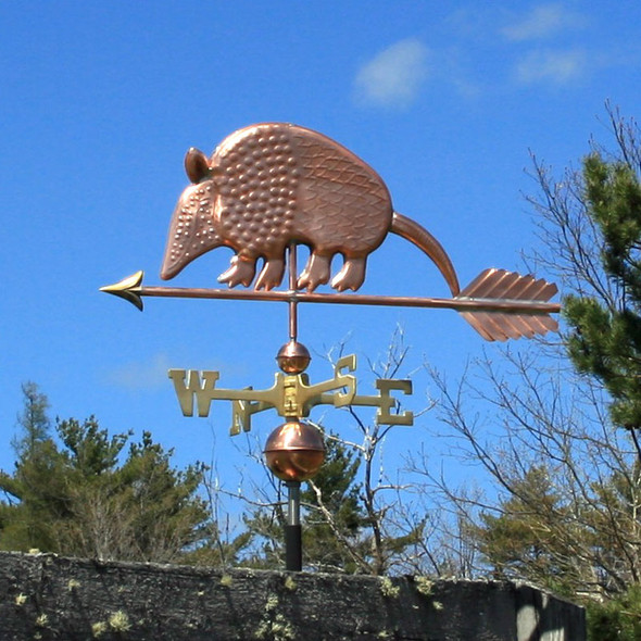 Armadillo Weather vane