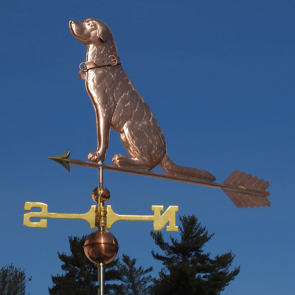 Labrador wearing Collar Weathervane